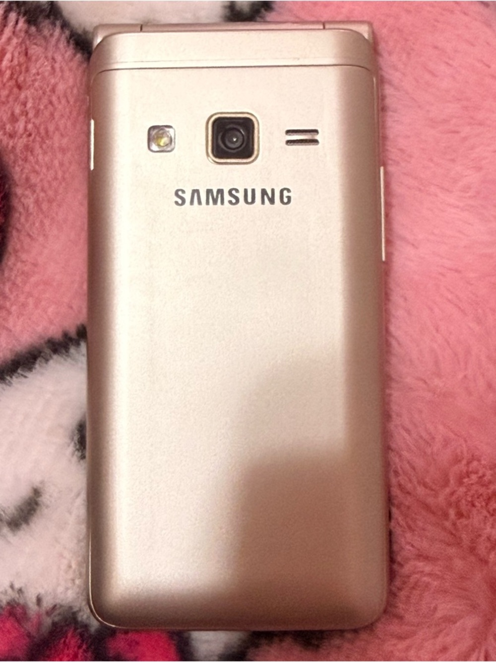 Samsung Y2K Flip Phone